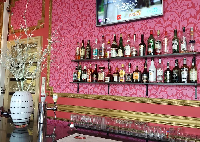 Hôtel accueillant les animaux: Hotel Albert II Oostende